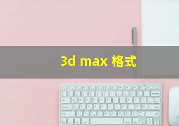 3d max 格式